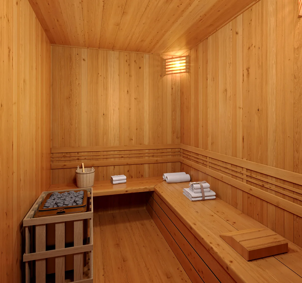 Sauna – Vista 553